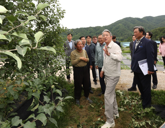 강호동 농협중앙회장이 지난 17일 경남 거창군 소재 사과 농가를 방문해 사과 생육 동향을 살피고 있다. 연합뉴스